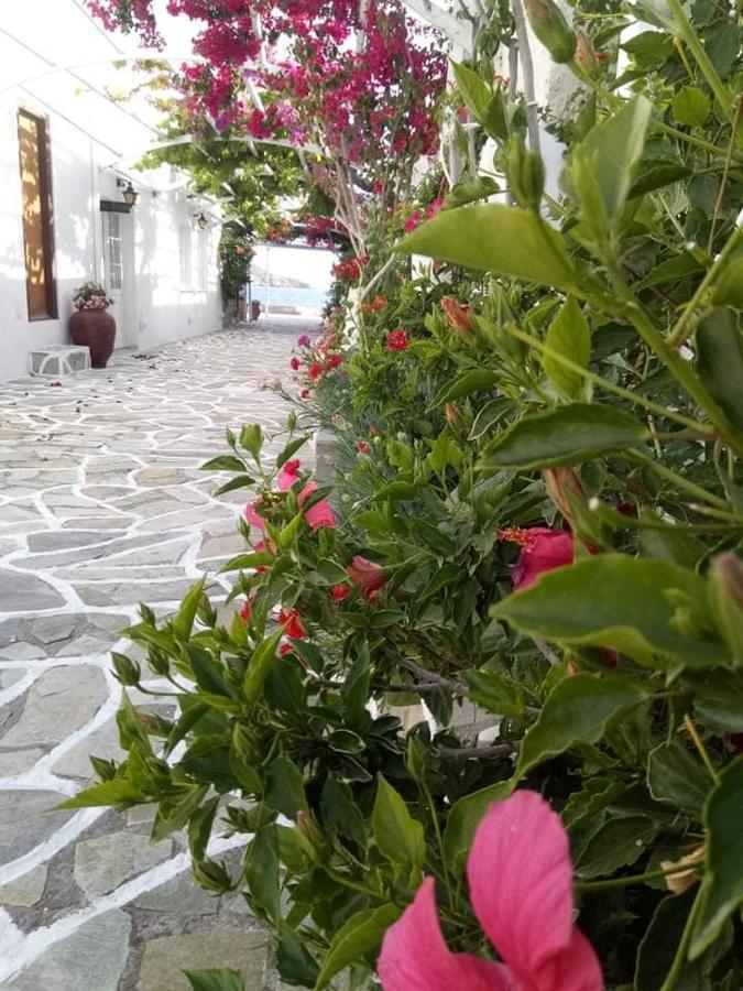 Hotel Mare Monte Ios Zewnętrze zdjęcie
