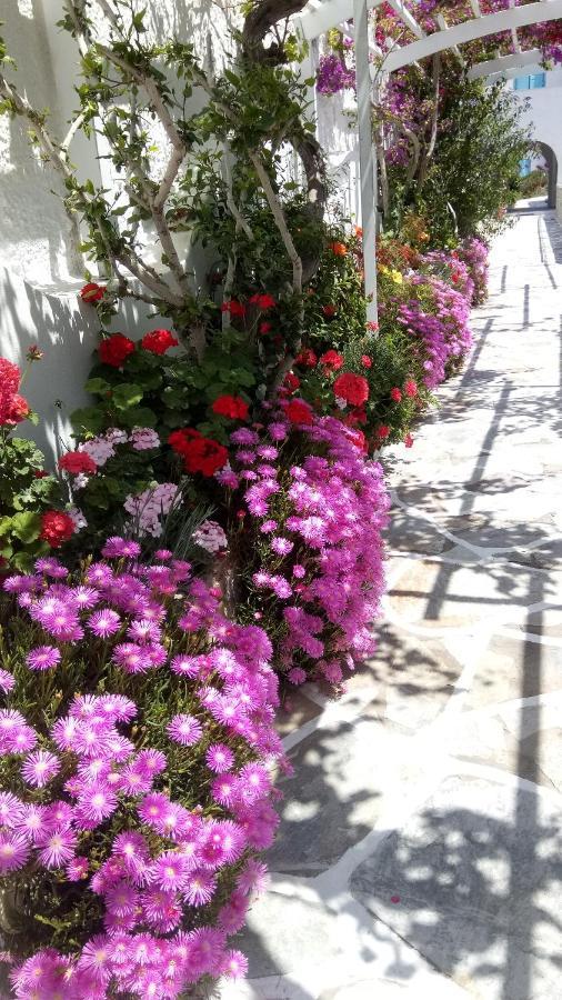 Hotel Mare Monte Ios Zewnętrze zdjęcie